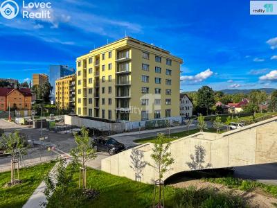 Sale apartment 1+KK Liberec, Švermova č. 91