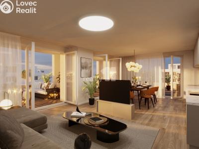 Sale apartment 2+KK Liberec, Švermova č. 43