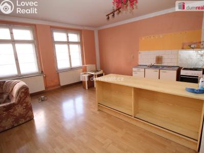 Prodej činžovního domu Kraslice, Pohraniční stráže č. 3