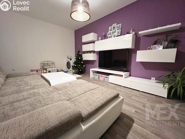 Prodej bytu 2+1 Dlouhoňovice, Sídlištní č. 1