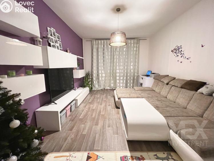 Prodej bytu 2+1 Dlouhoňovice, Sídlištní č. 3