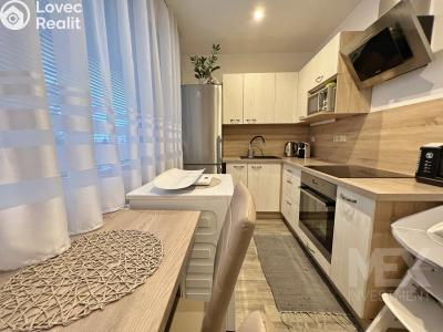 Продажа квартиры 1+1 Vamberk, Struha č. 1