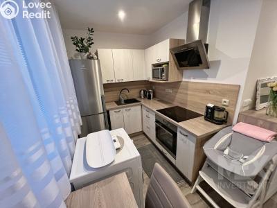 Продажа квартиры 1+1 Vamberk, Struha č. 3