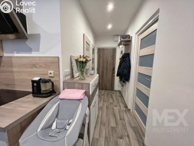 Продажа квартиры 1+1 Vamberk, Struha č. 4