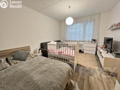 Продажа квартиры 1+1 Vamberk, Struha č. 6