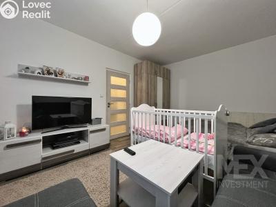Продажа квартиры 1+1 Vamberk, Struha č. 7