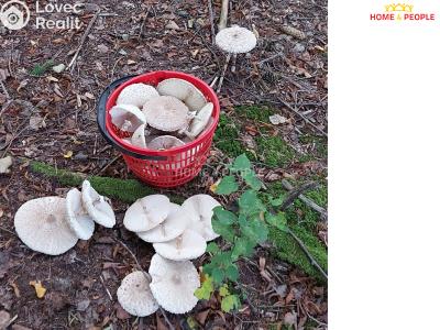 Продажа хижины Dolní Hbity č. 13
