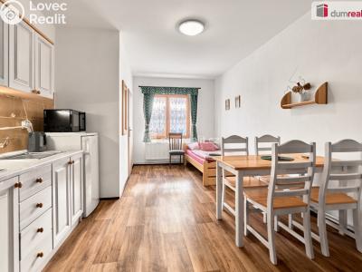 Prodej ubytovacího zařízení Chlum u Třeboně, Chelčického č. 18