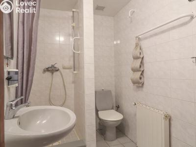 Prodej ubytovacího zařízení Kašperské Hory č. 18