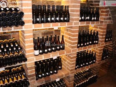 Prodej garáže Horní Věstonice, U Venuše č. 5