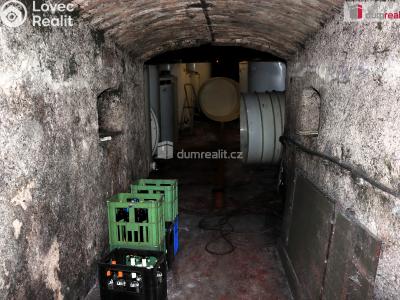 Prodej garáže Horní Věstonice, U Venuše č. 16