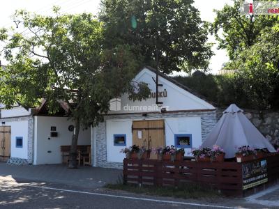 Prodej garáže Horní Věstonice, U Venuše č. 21