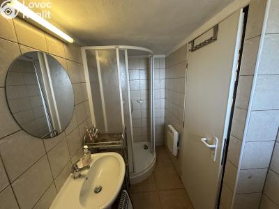 Sale hut Velké Karlovice č. 11