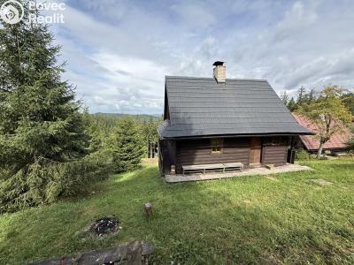Sale hut Velké Karlovice č. 12