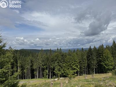 Sale hut Velké Karlovice č. 13