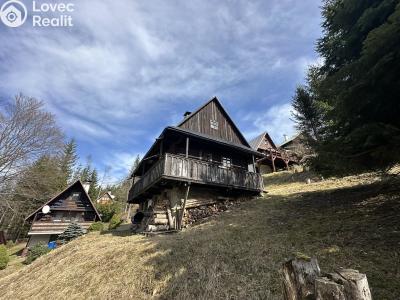Sale hut Velké Karlovice č. 14