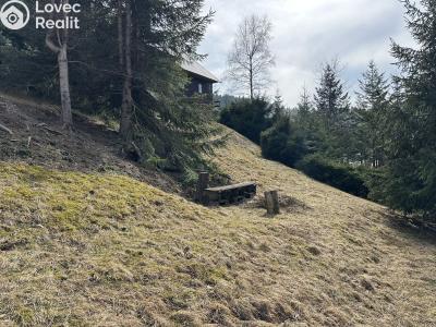 Sale hut Velké Karlovice č. 19