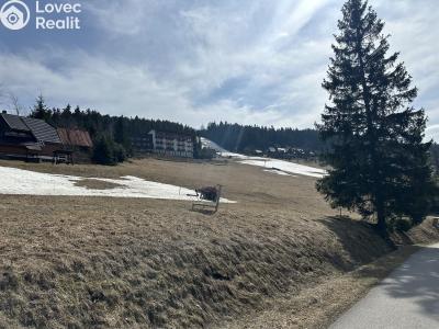 Sale hut Velké Karlovice č. 22