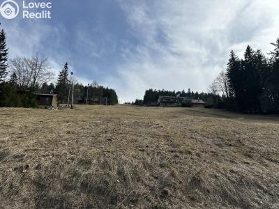 Sale hut Velké Karlovice č. 24