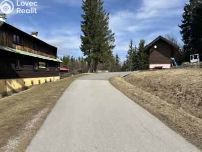 Sale hut Velké Karlovice č. 25