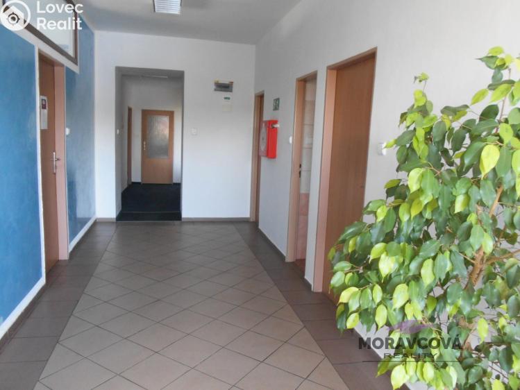 Pronájem kanceláře Heřmanův Městec, Havlíčkova 304 č. 2
