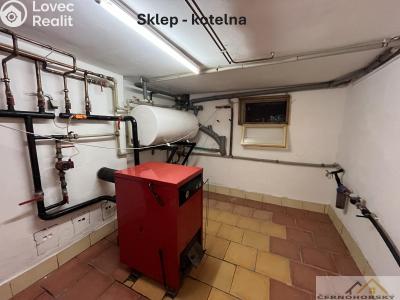 Sale multi-gen house Mutějovice, Revoluční 77 č. 31