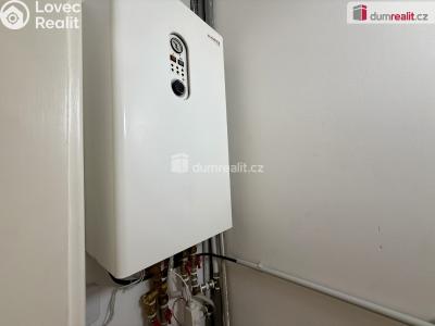 Pronájem bytu 3+1 Mariánské Lázně, Dřevěná č. 24