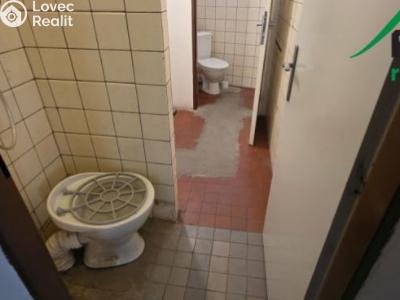Pronájem výrobní haly Planá, Plzeňská č. 11