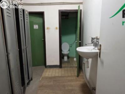 Pronájem výrobní haly Planá, Plzeňská č. 13