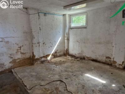 Pronájem výrobní haly Planá, Plzeňská č. 16