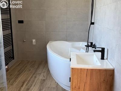 Продажа квартиры 2+KK Dlouhá Ves č. 11