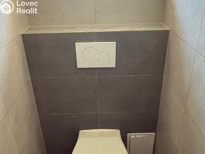Продажа квартиры 2+KK Dlouhá Ves č. 12
