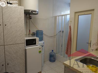Rent warehouse Sušice, Pražská 1194 č. 16