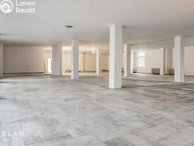 Pronájem obchodního prostoru Karviná, Borovského č. 1