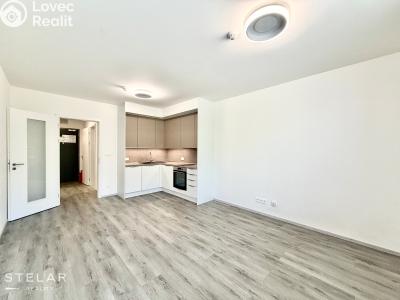 Sale apartment 1+KK Český Krumlov, Za Jitonou 257 č. 1