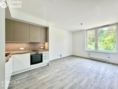 Sale apartment 1+KK Český Krumlov, Za Jitonou 257 č. 3