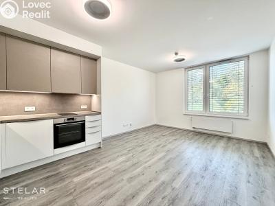 Sale apartment 1+KK Český Krumlov, Za Jitonou 257 č. 7