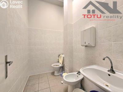 Rent office space Černožice č. 6