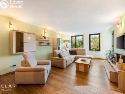 Продажа семейного дома Dolní Dunajovice, Zahradní 588 č. 9