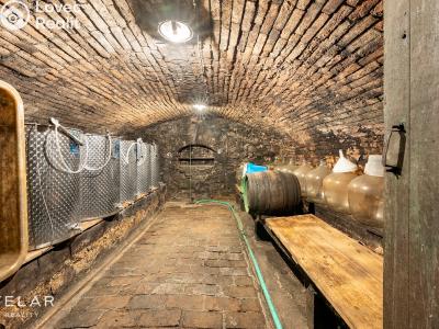 Prodej rodinného domu Dolní Dunajovice, Zahradní 588 č. 23