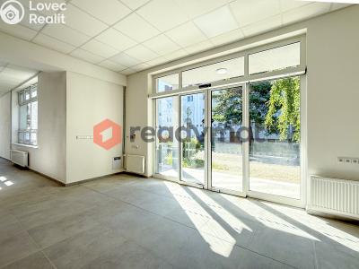 Prodej obchodního prostoru Hodonín, Křičkova č. 5