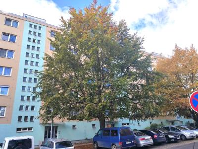 Продаж квартири 3+1 Kladno, Polská č. 11
