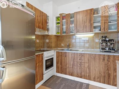 Продажа квартиры 1+KK Zbuzany, Lomená č. 8