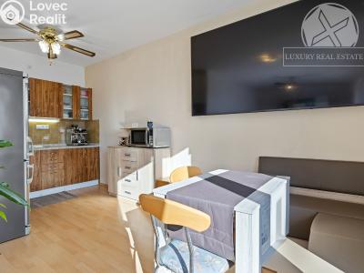 Продажа квартиры 1+KK Zbuzany, Lomená č. 9