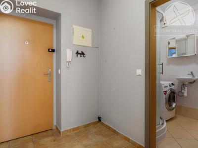 Продажа квартиры 1+KK Zbuzany, Lomená č. 16