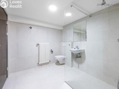 Pronájem kanceláře Průhonice, Sadová č. 16