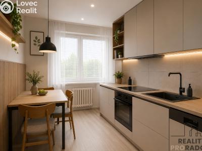 Sale apartment 3+1 Hodonín, Nádražní řádek č. 6