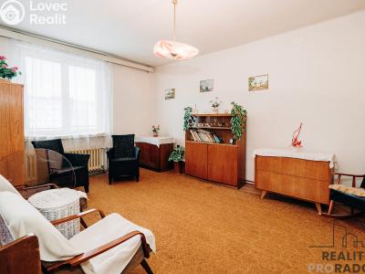Sale apartment 3+1 Hodonín, Nádražní řádek č. 13