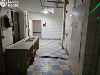 Аренда семейного дома Tachov, Bělojarská č. 5