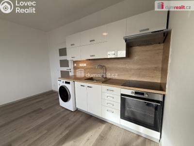Pronájem bytu 2+KK Ústí nad Labem, Brandtova č. 5